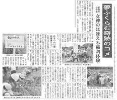 「女神のほほえみ」稲刈り体験！