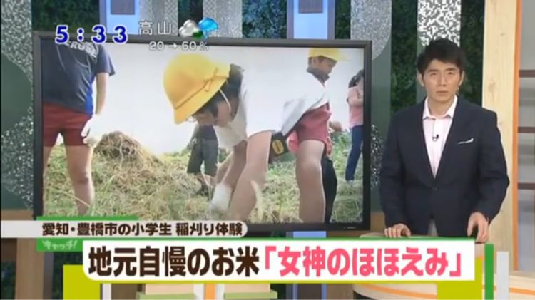 「女神のほほえみの稲刈り」がＴＶ紹介されました