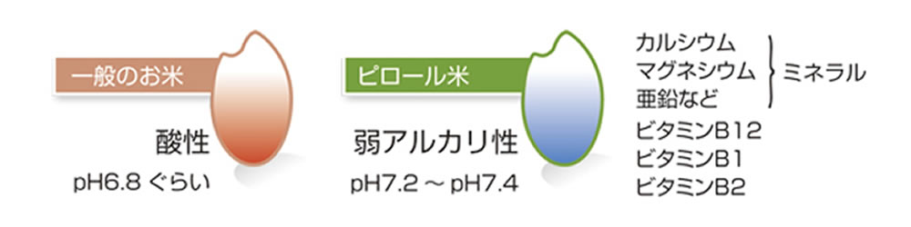 酸性かアルカリ性か